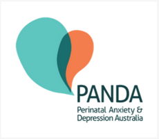 PANDA PANDA