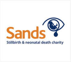 SANDS SANDS